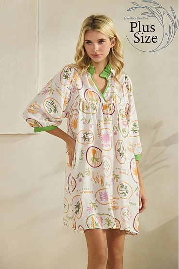 Plus Size Novelty Print Dress WD52584PL